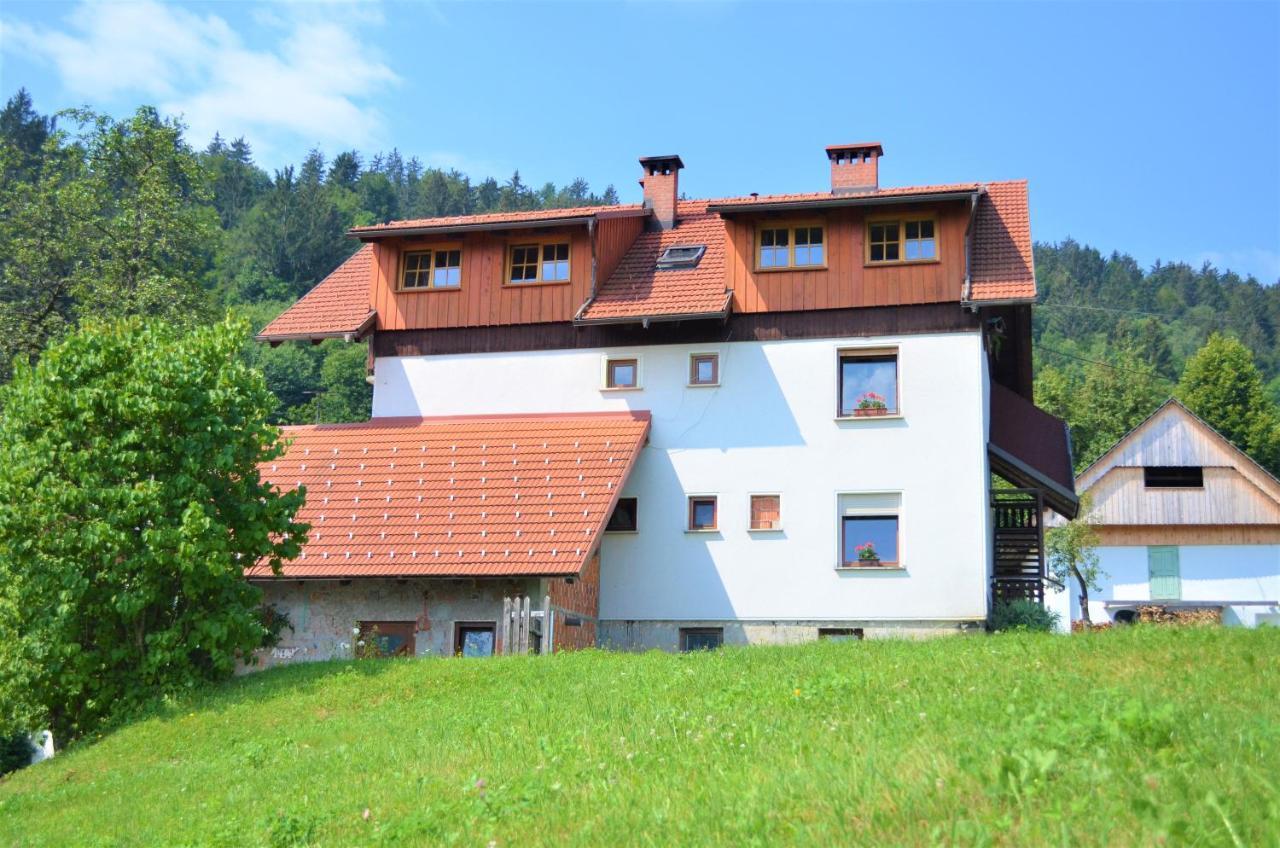 Apartmán Healing Farm Gorenja Vas  Exteriér fotografie