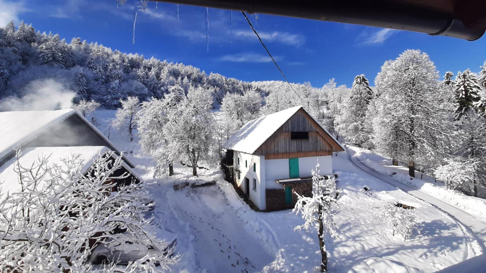 Apartmán Healing Farm Gorenja Vas  Exteriér fotografie