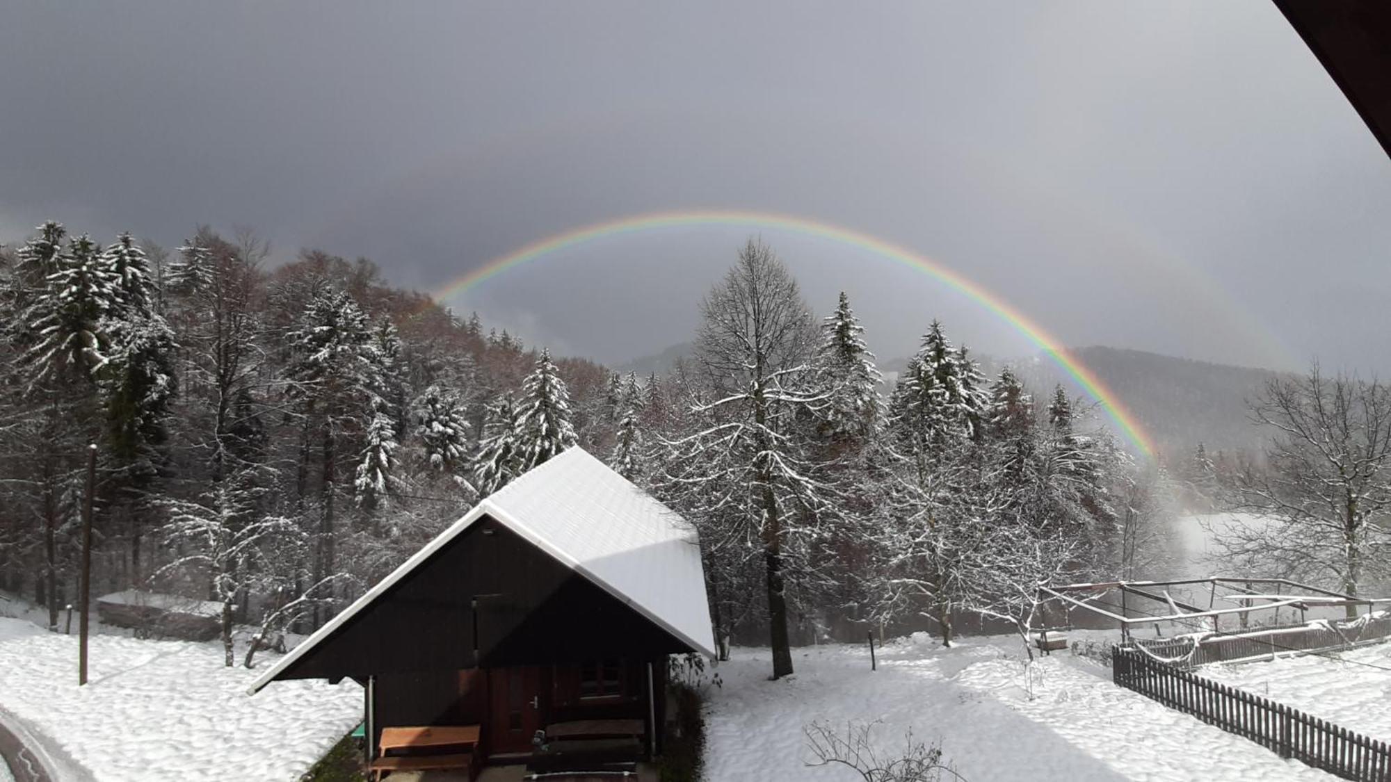 Apartmán Healing Farm Gorenja Vas  Exteriér fotografie