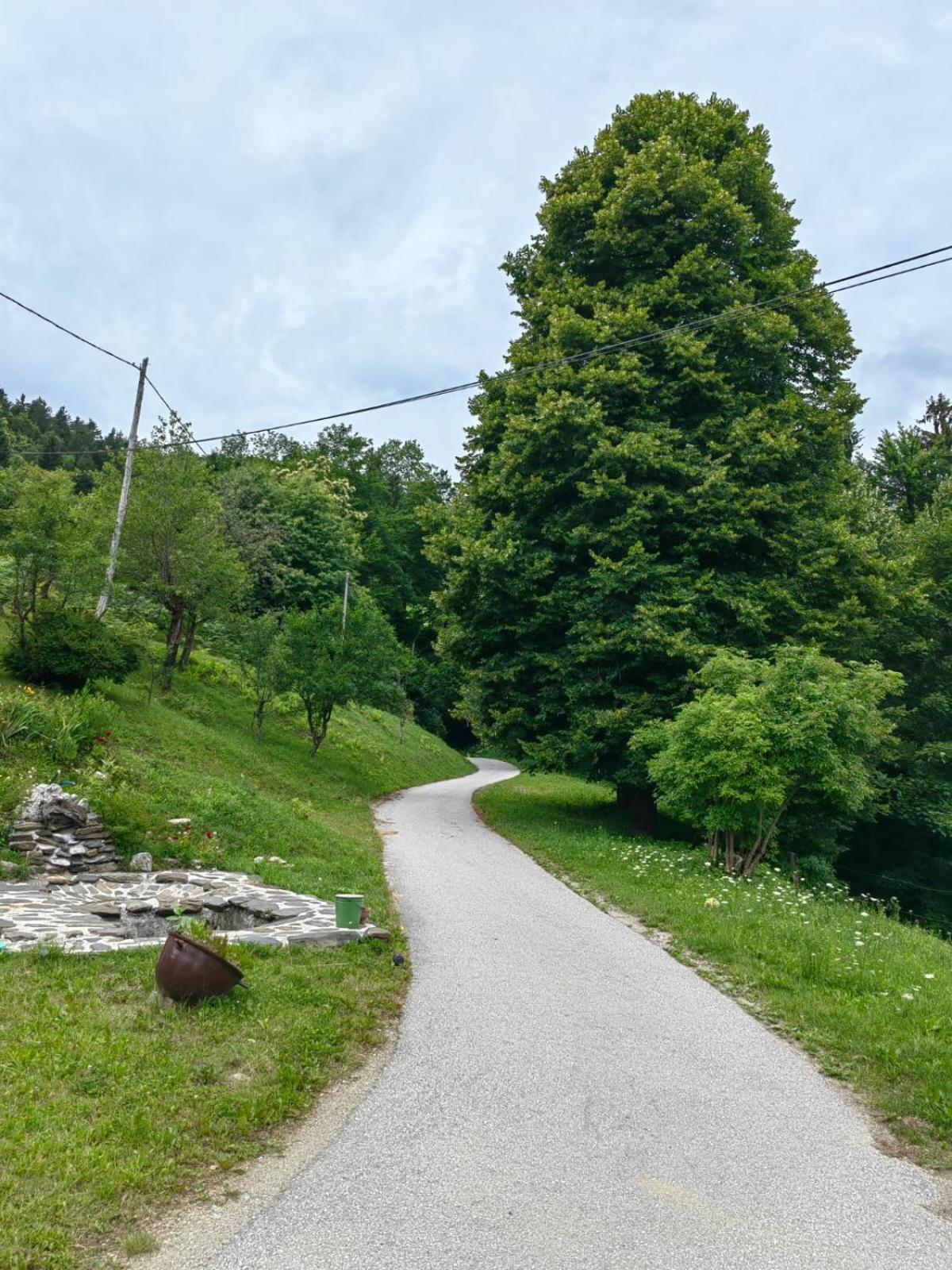 Apartmán Healing Farm Gorenja Vas  Exteriér fotografie